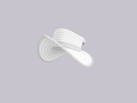 Hat572 3D Model