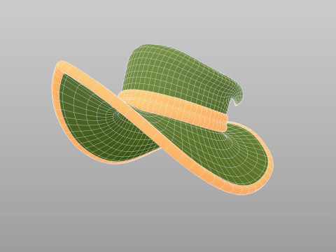 Hat572 3D 모델