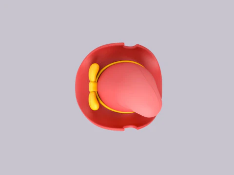 Hat575 3D Model