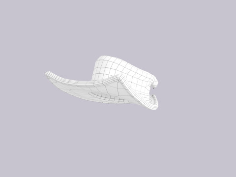 Hat581 3D Модель
