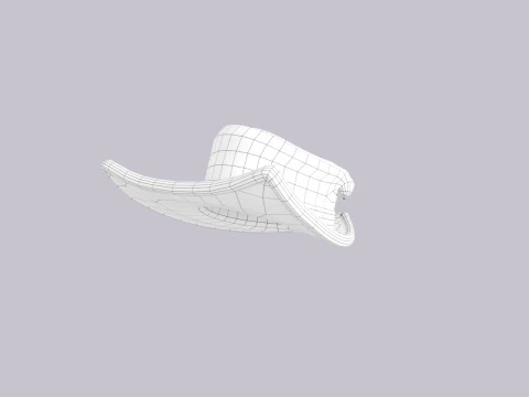 Hat581 3D Model