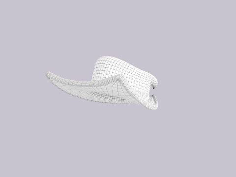 Hat581 3D Модель