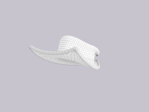 Hat581 3D Model