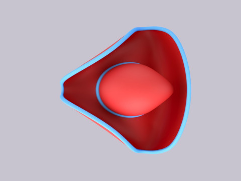 Hat582 3D Модель