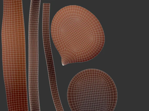 Hat583 3D Model