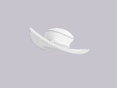 Hat599 3D Model