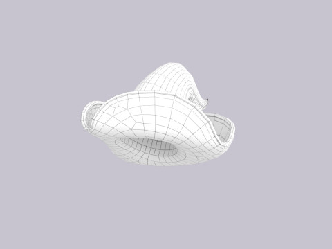 Hat605 3D 模型