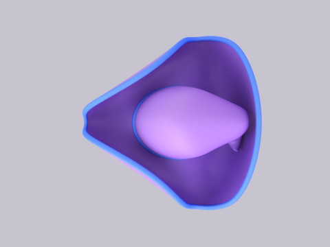 Hat607 3D Модель