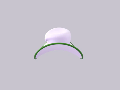 Hat621 3D Model