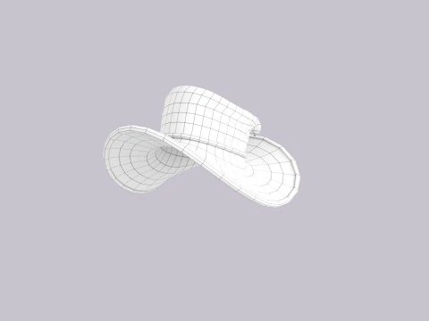 Hat621 3D Model