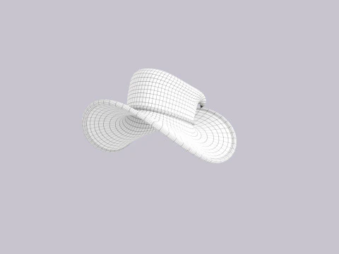 Hat621 3D Model