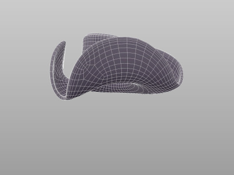 Hat627 Modello 3D