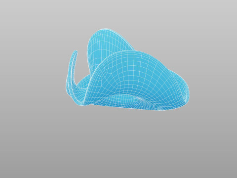 Hat629 3D Модель
