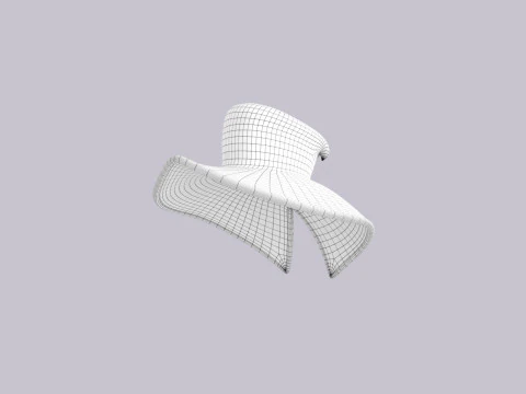 Hat639 3D Model