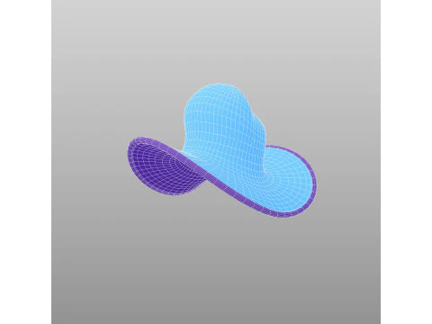 Hat641 3D Model