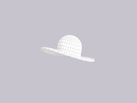 Hat645 3D Model