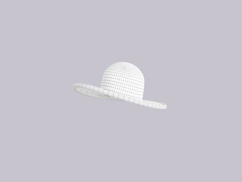 Hat645 3D Model
