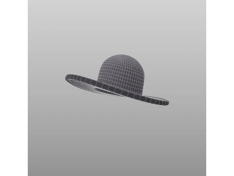 Hat645 3D Model