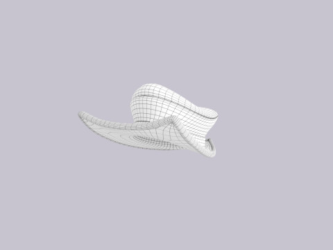 Hat650 Model 3D
