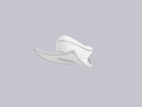 Hat650 3D Model