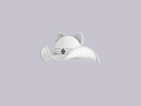 Hat652 3D Model