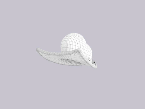 Hat660 3D Model