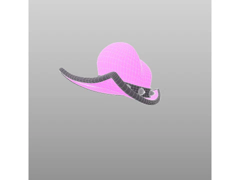 Hat660 3D Model