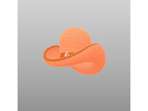 Hat662 3D Model