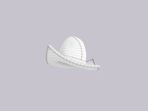 Hat663 3D Model
