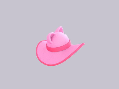 Hat672 Modèle 3D