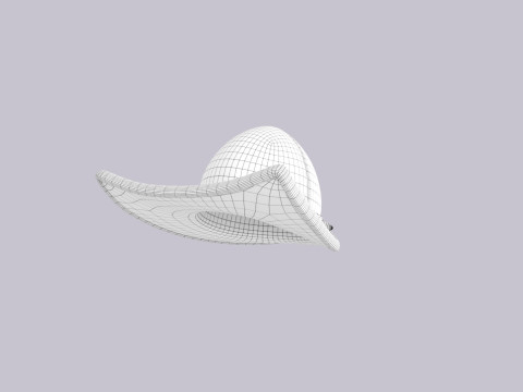 Hat676 3D Model
