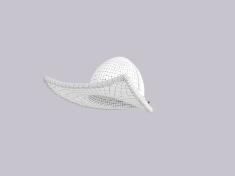 Hat676 3D Model