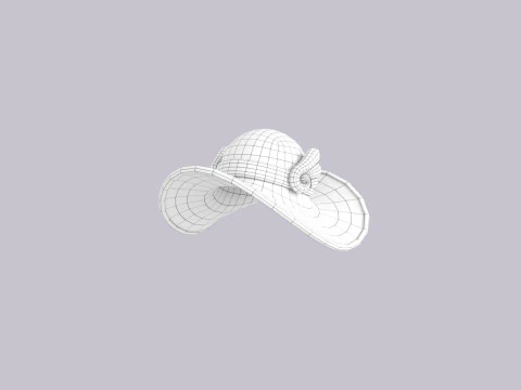Hat677 3D Model