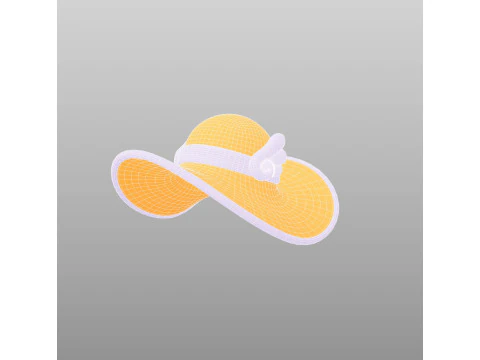 Hat677 3D Model