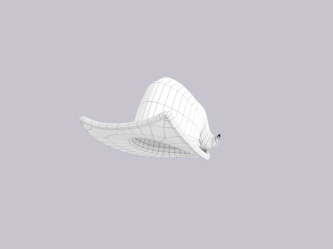 Hat681 3D Model