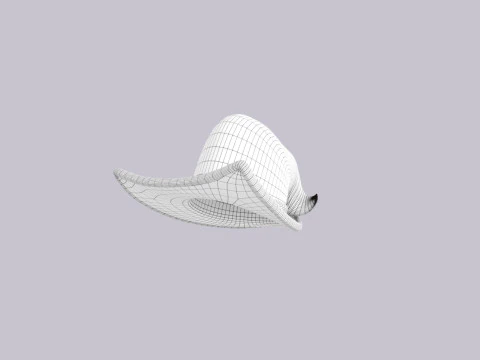 Hat681 3D Model