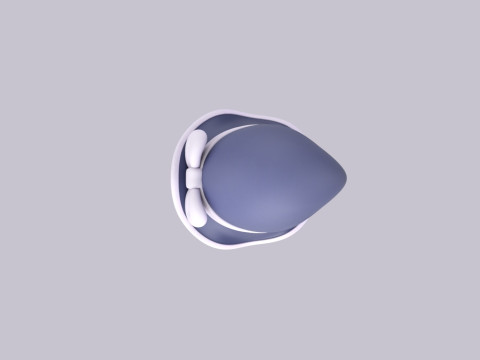 Hat682 Model 3D