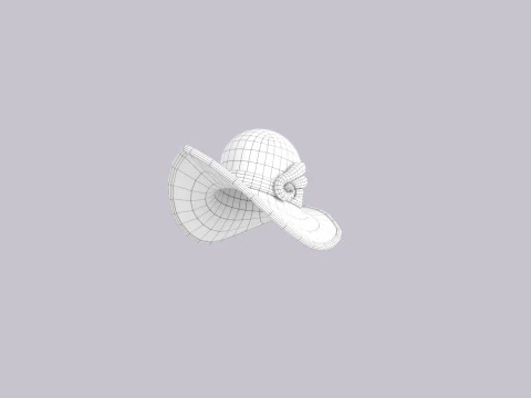 Hat695 3D Model