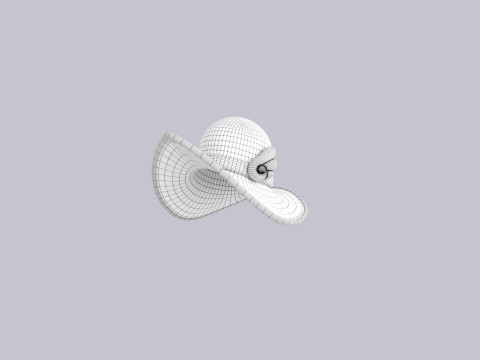 Hat695 Modèle 3D