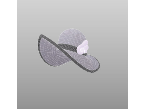 Hat695 Modèle 3D