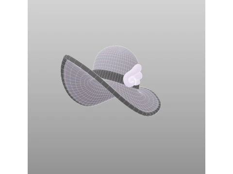 Hat695 3D Model