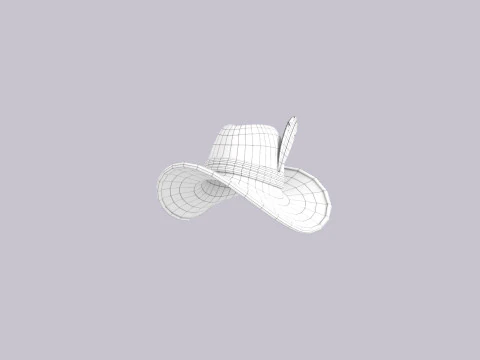 Hat701 3D Model