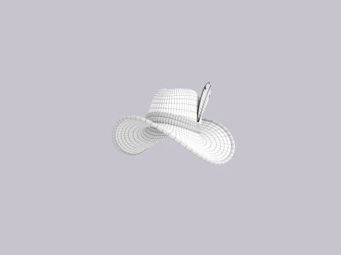 Hat701 3D Model