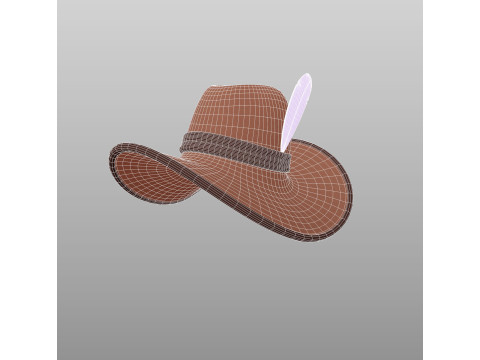 Hat701 3D Модель