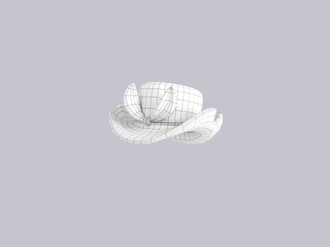 Hat705 3D Model