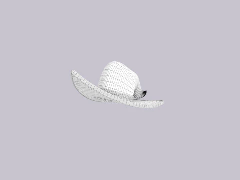 Hat706 3D Model