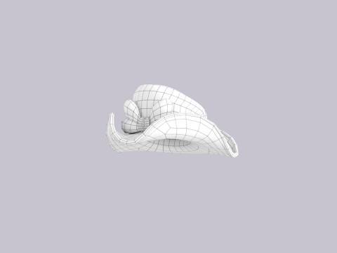 Hat707 3D 모델