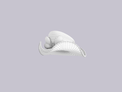 Hat707 3D 모델