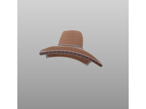 Hat720 3D 模型