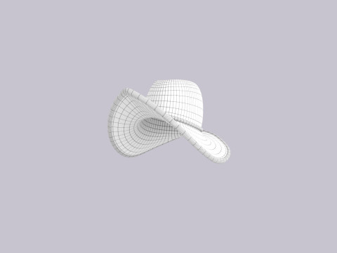 Hat721 3D Model